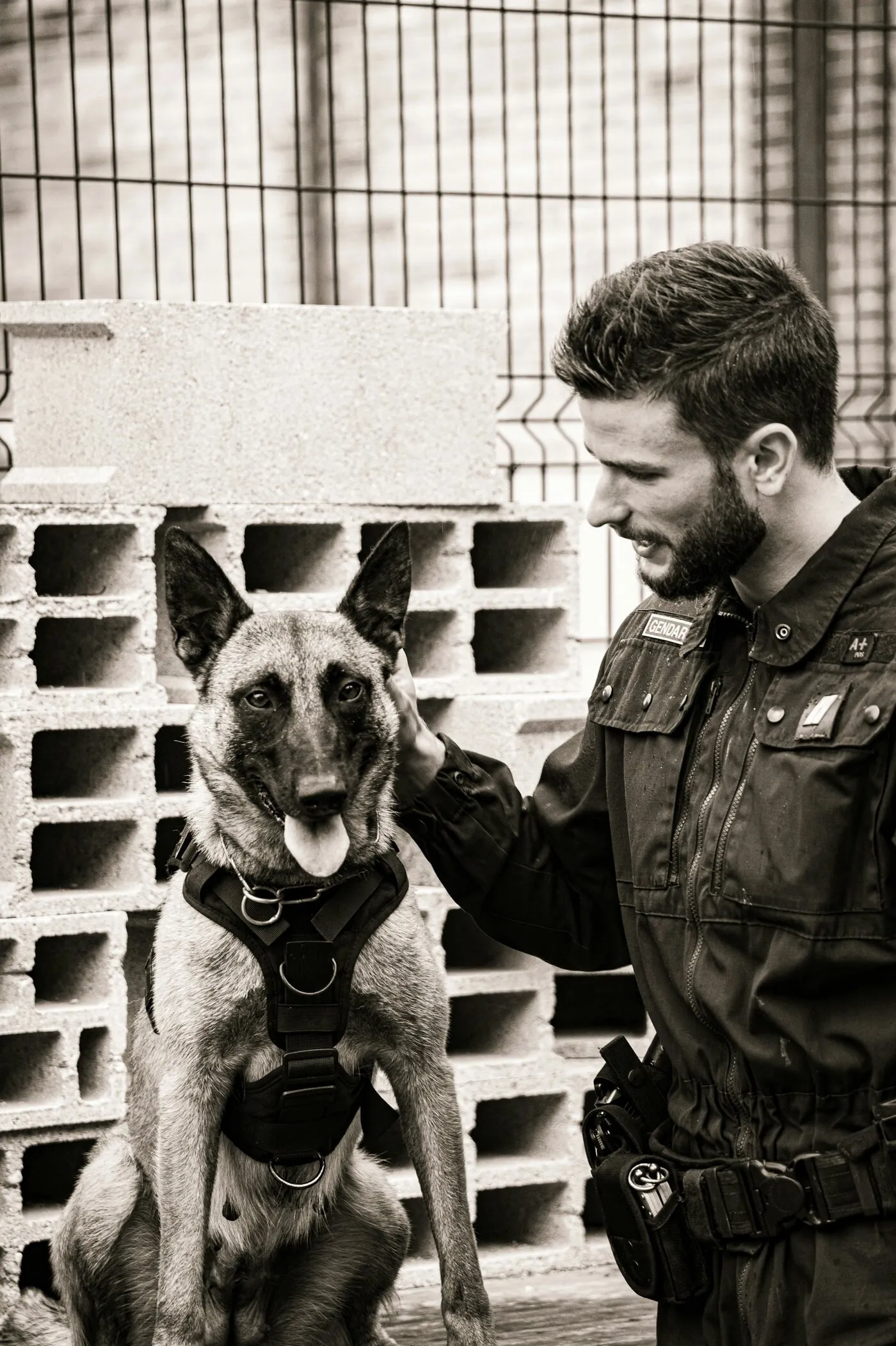 A handler kneeling with a patrol dog